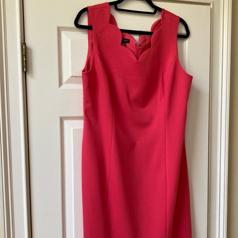 Talbots New with tags Scallop neckline dress with back zipper
